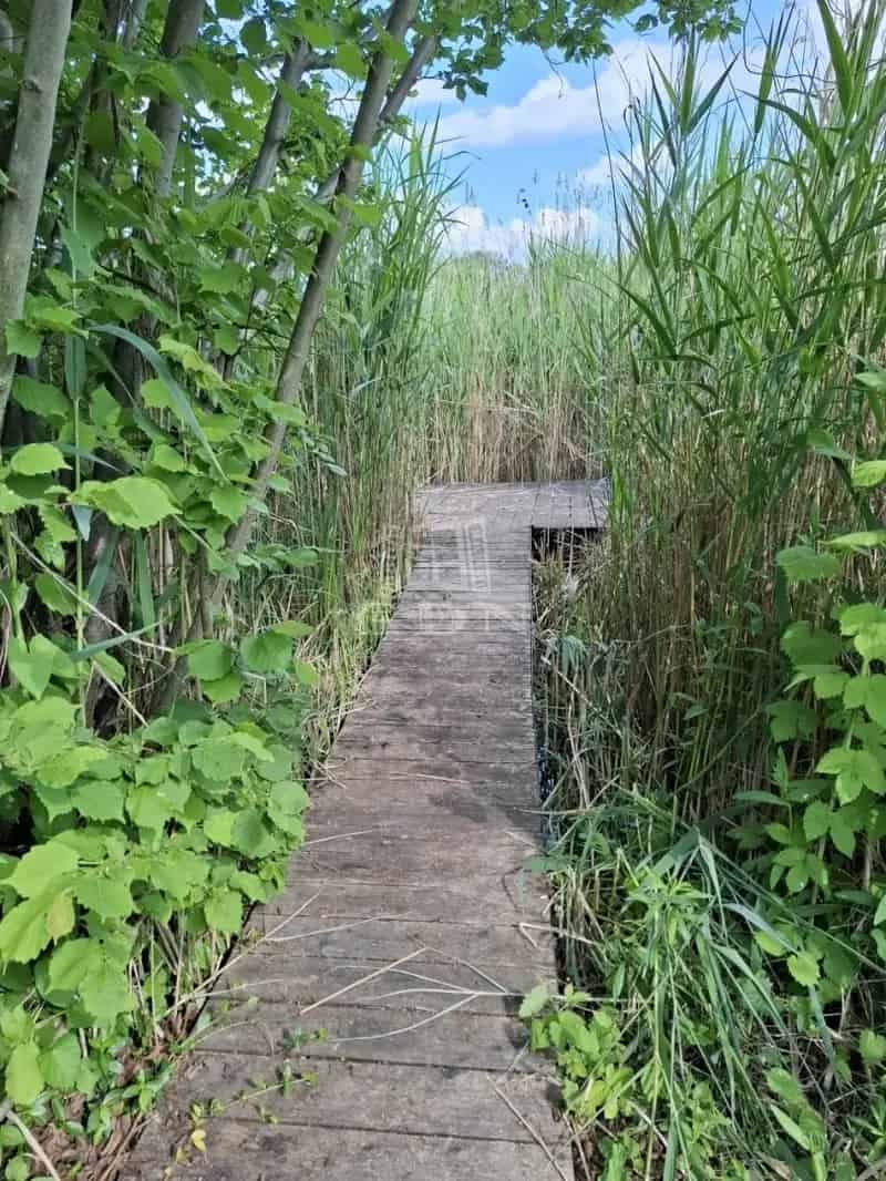 Vízparti nyaraló Szigethalmon saját stéggel eladó