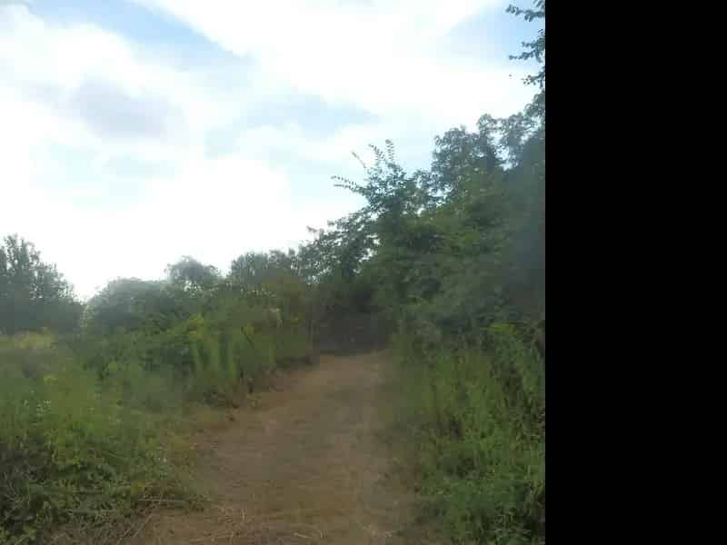 3151 m2-es Szőlő-Gyümölcsös Telek Eladó