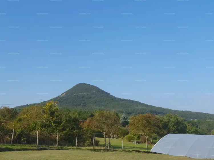 Eladó építési telek Badacsonytomajon panorámával csendes környezetben