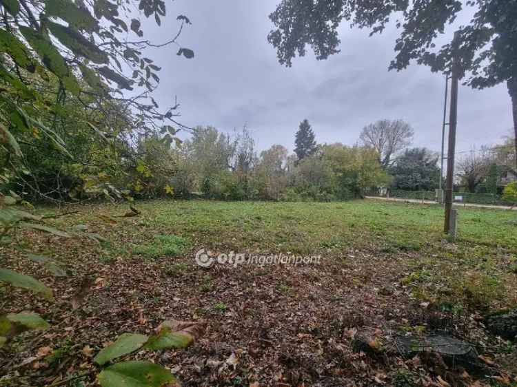 Ráckeve Somlyó 600 m2-es Telek Eladó