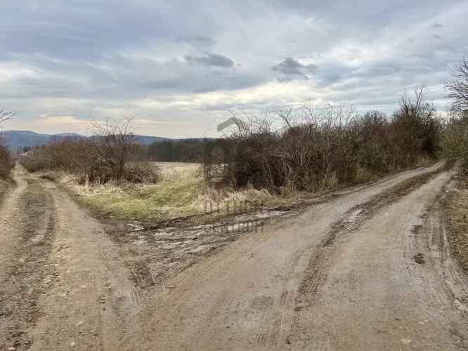 Eladó mezőgazdasági telek Szokolyán panorámás területen