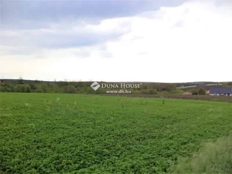 Pázmándi 3871 m2-es Szántó Telek Eladó