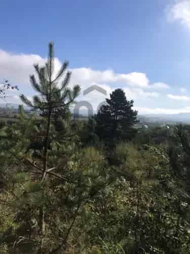 Mogyorósbányai panorámás telek eladó