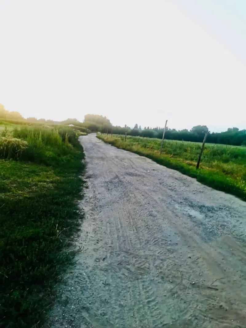 Zamárdi építési telek eladó 3433 m2 Balaton közelében