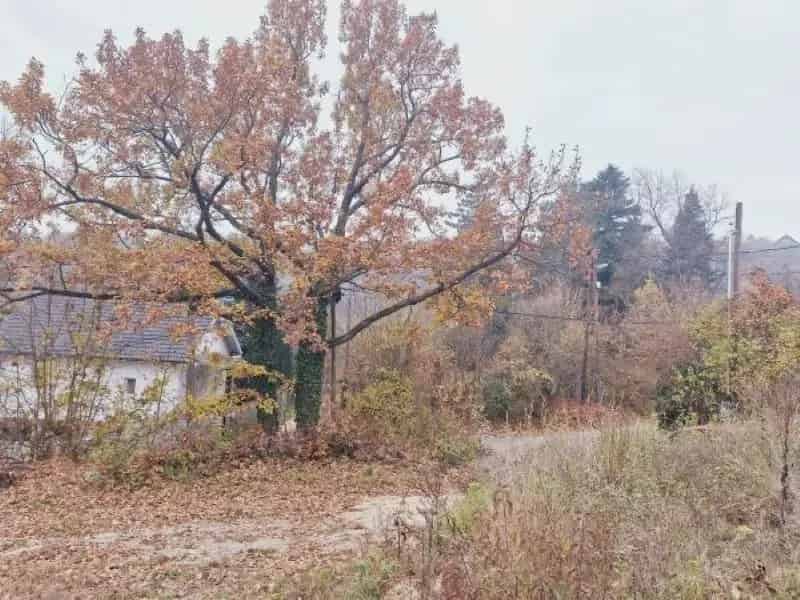 Szentendre panorámás telek eladó 1228 m2 hétvégi ház