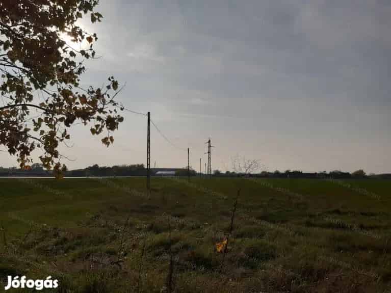 Jászberényi tanya eladó 4990 nm-es telken