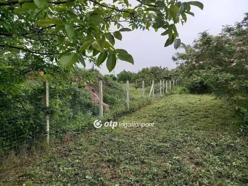1501 m2-es Telek Eladó Délegyházán Kettes Tó Közelében
