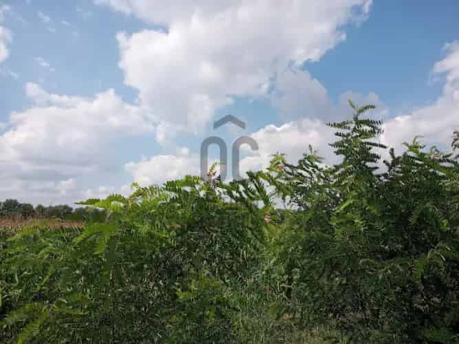 Szigetszentmiklósi telek eladó 5735 m2