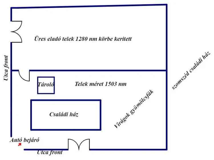 3 szobás családi ház Dömsödön 2783 nm-es telken