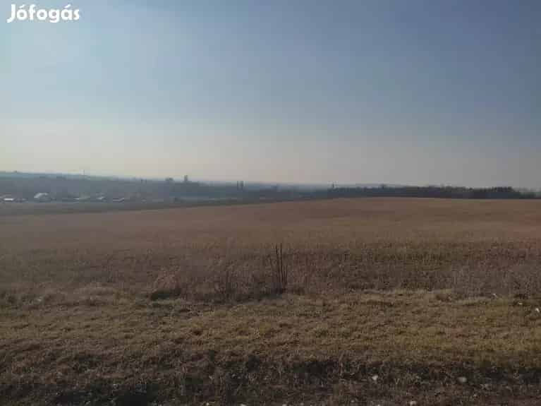 Szomódi zártkerti telek eladó - 2200 m2 szőlővel