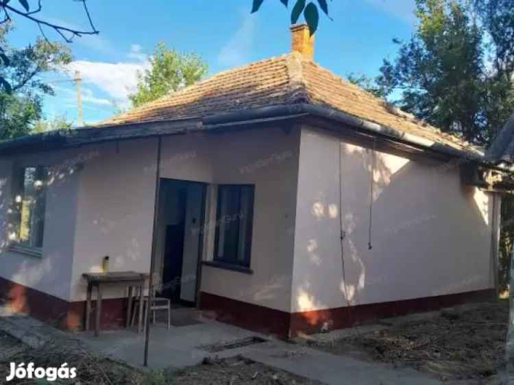 Fülöpháza 75 nm-es tanya eladó 6 hektárral