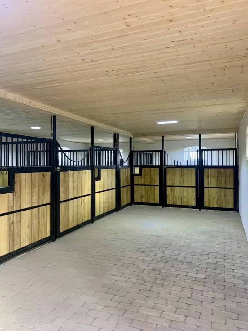 Balatonközeli Lovasbirtok Eladó - Apartmanokkal és Fejlesztési Lehetőséggel