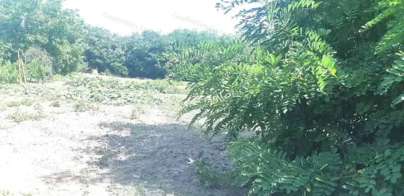 Cibakháza Telek Eladó 1062m2 Vízpart Közel