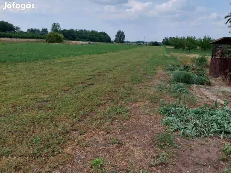Tiszakécske Fenyves utca beépítetlen terület eladó