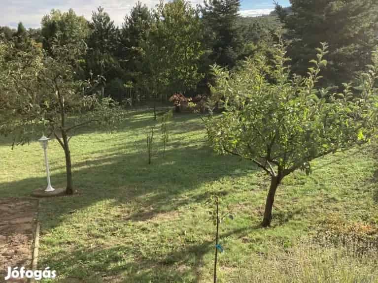 931 m2 Gyümölcsös Telek Eladó Balatonalmádi
