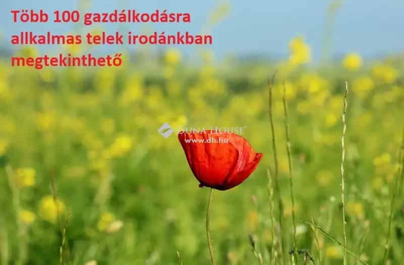 Nyiregyhaza Sostohegy Telek Elado 7390 m2