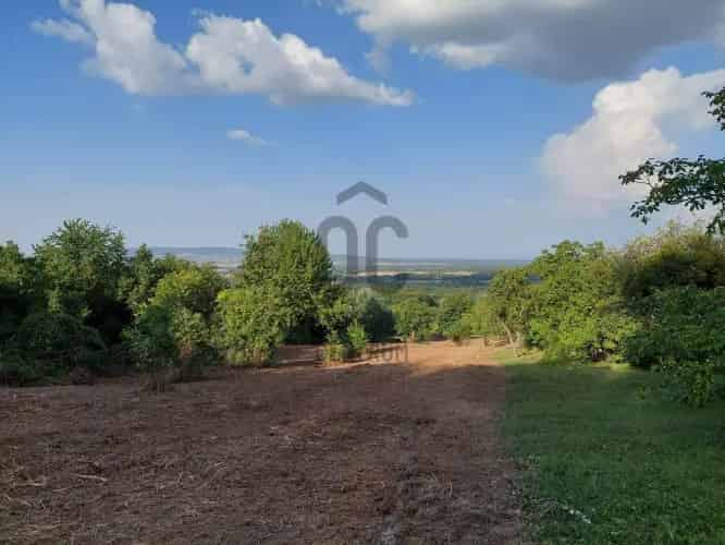 Bazsi eladó telek 4521 m2 - Gyümölcsös Szőlővel