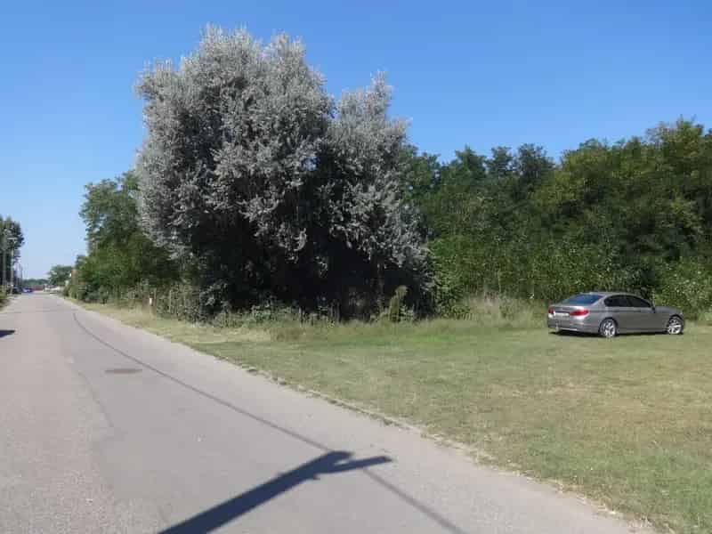8020 m2-es építési telek eladó Tiszakécskén