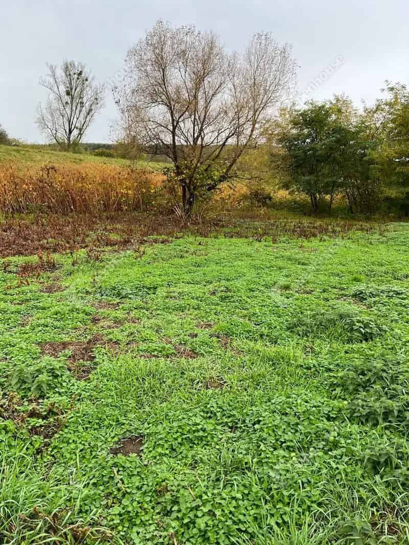 Csörötneki telek eladó - 1590 m² - Rába-folyó partján