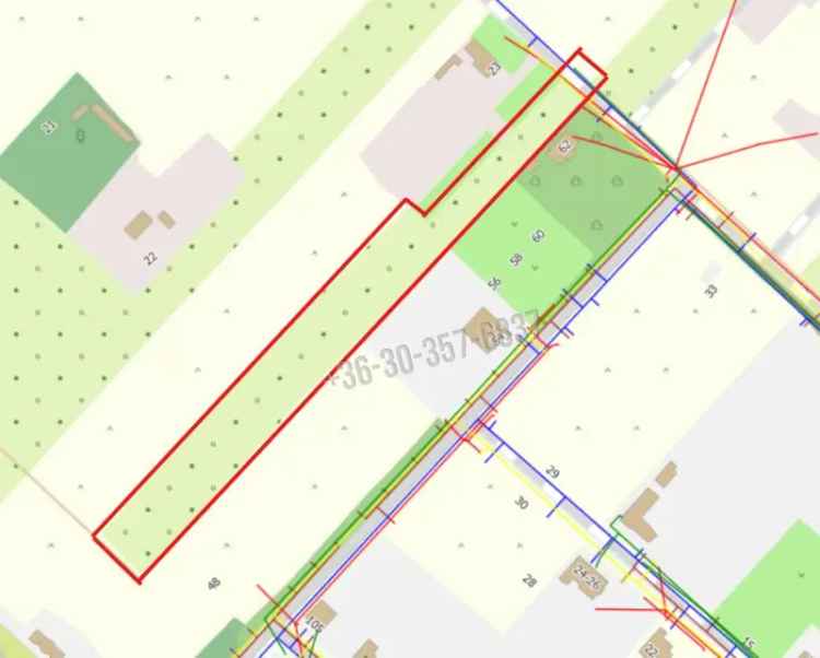 Zsombó külterületi telek eladó 8063 m2 akáccsal és szőlővel