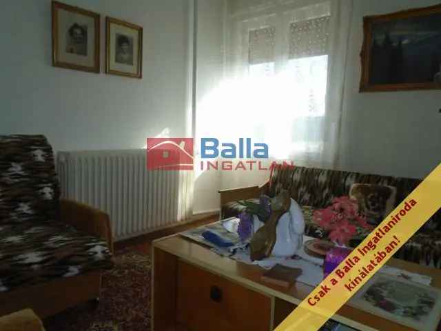 Tiszakécske családi ház eladó 100m² 4 szoba 2940m² telek