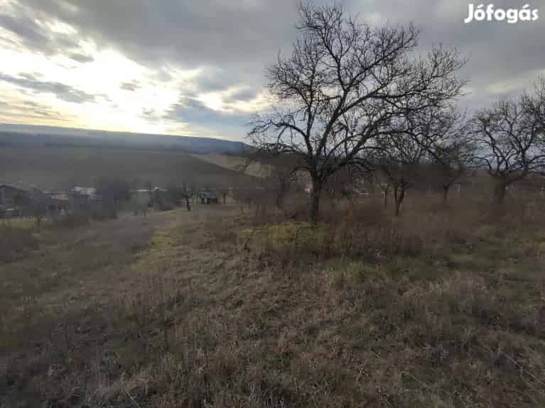 Alcsútdoboz Panorámás Zártkert Tanya 4716 m2
