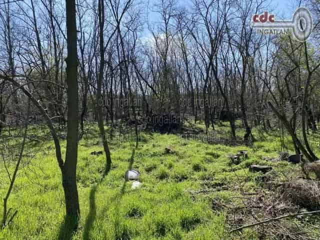 Táborfalva külterületi tanya eladó - 4453 m2