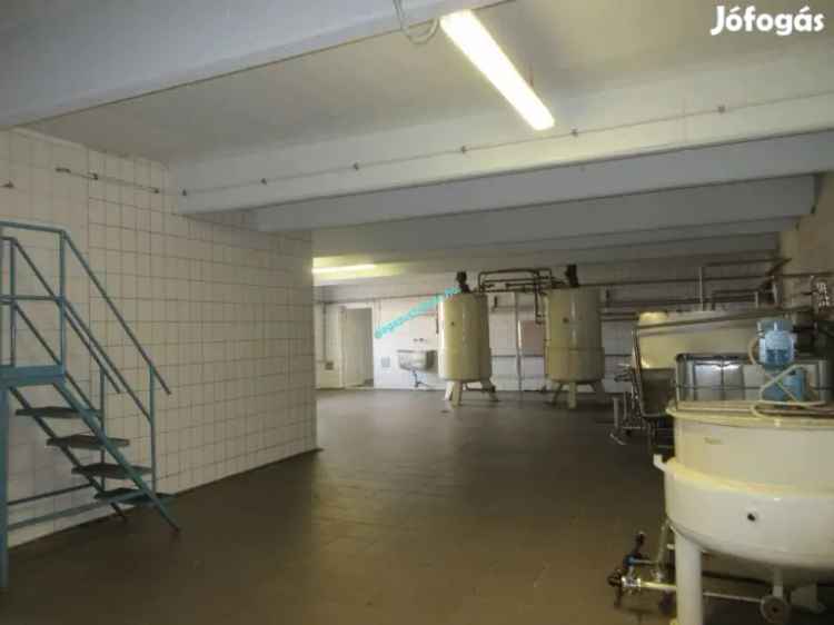 Ipari Ingatlan Eladó Ózd 1043m2