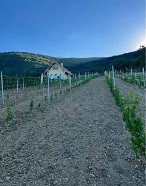 Panorámás Telek Balatonedericsen - Engedélyezett Építési Tervvel