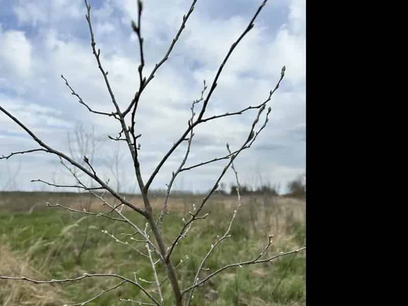 Telek Kiadó , Szeghalom, Alföld és Észak