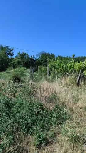 Hegymagasi elado telek Balaton panoramával