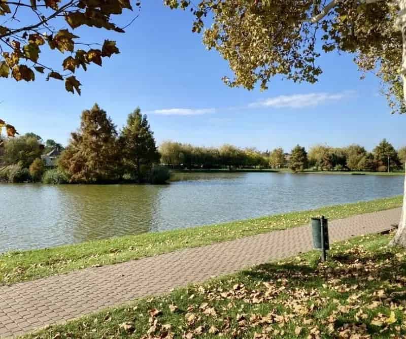 Tóparti panorámás ház eladó, felújítandó, 447 nm telekkel