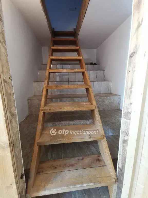 Dömsödön eladó 11331 m2-es birtok 3 házal és gazdasági épülettel