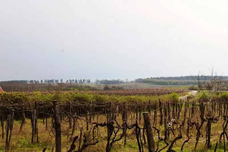 Zánkai panorámás telek eladó építési engedéllyel