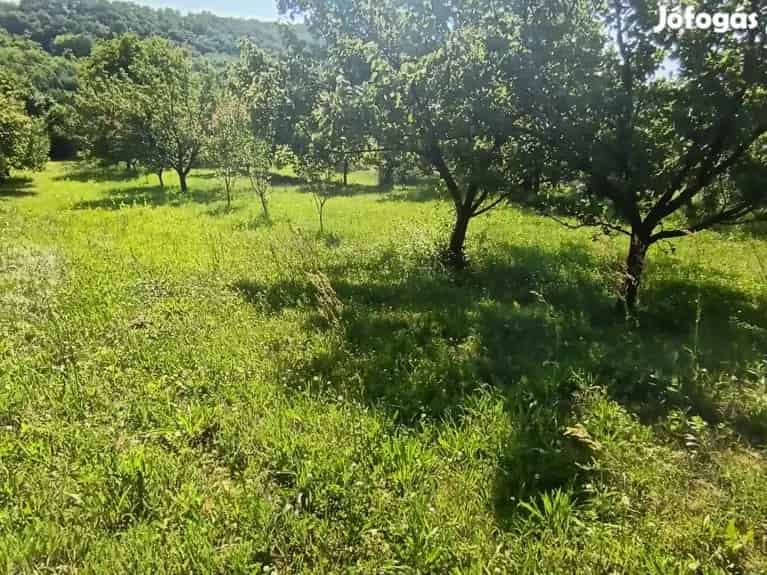 Zsujtai Telek Eladó 4955 nm-es