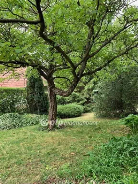 Solymár panorámás építési telek eladó erdő közelében