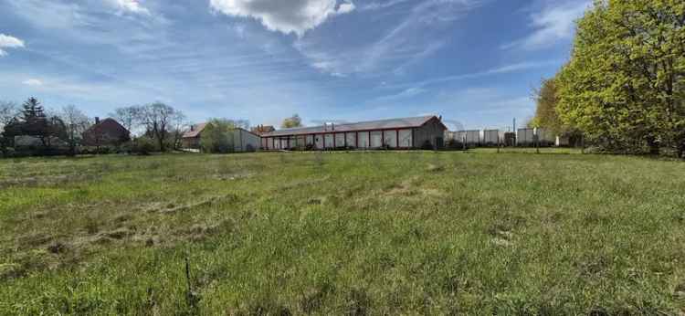 Ócsai telkek eladó 9250 m2 aszfaltos úton közművekkel