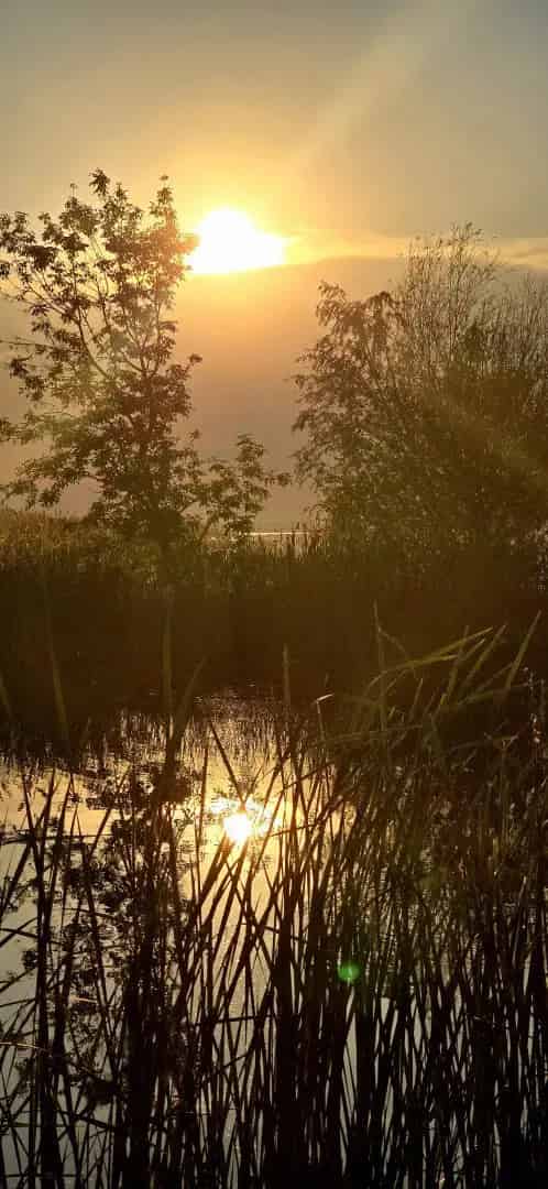 Balaton Apartmanház Befektetés 7 Szoba Medence