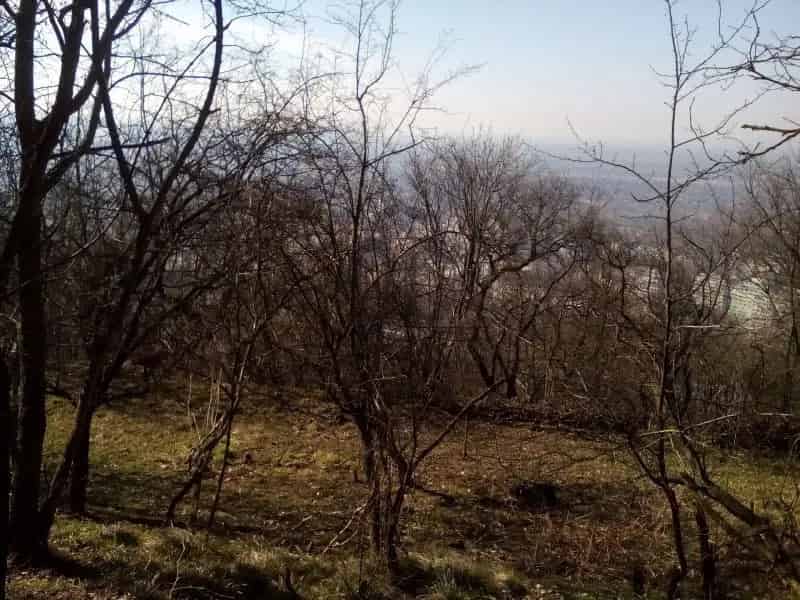Tatabánya Turul Hegyoldal Panorámás Dupla Építési Telek