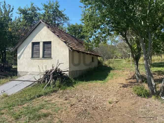 Balatonszőlősi panorámás pinceingatlan eladó
