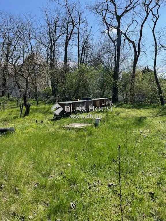 Telek Eladó , Felcsút, Dunántúl