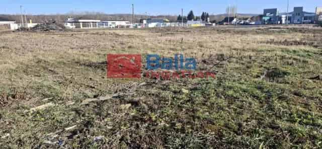 Ajka Bakonygyepes Telek Eladó 4233 m2 8 as főút