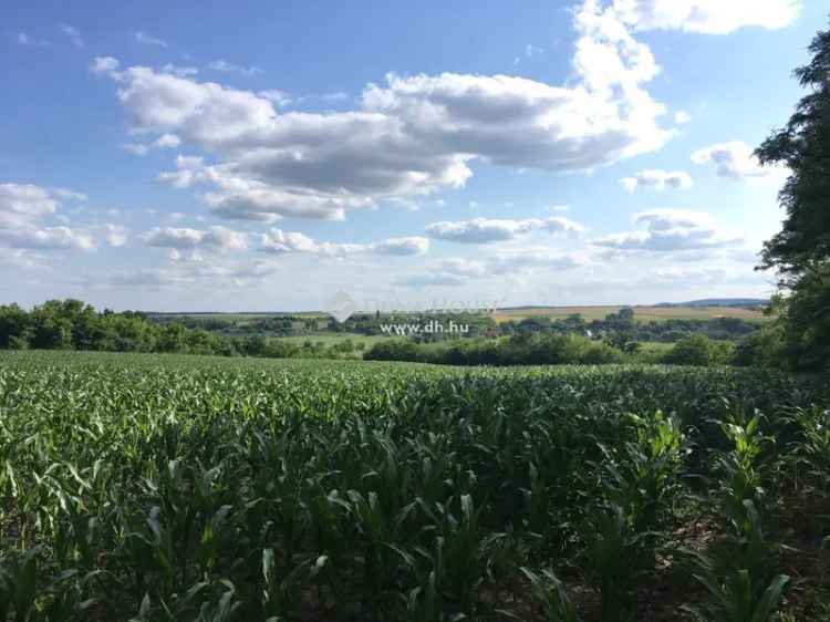 Telek Eladó in Kajászó, Dunántúl