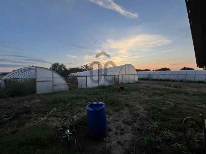 Csány családi ház eladó 5991 m2 telken 9 fóliasátorral