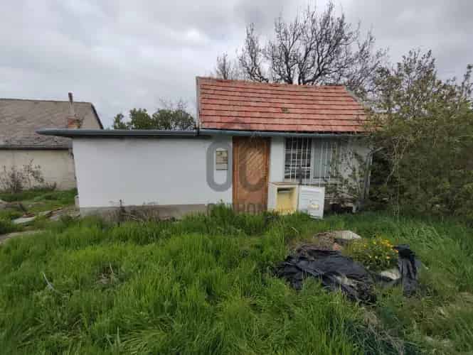Várpalotai eladó présház pince 2 telekkel panorámával
