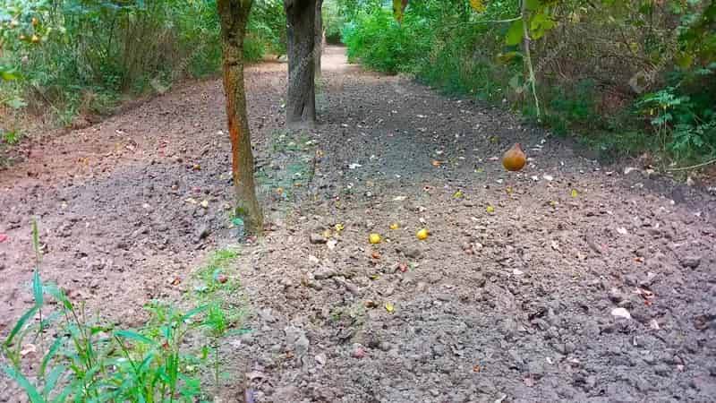 Telek Kiadó , Szolnoki járás, Alföld és Észak