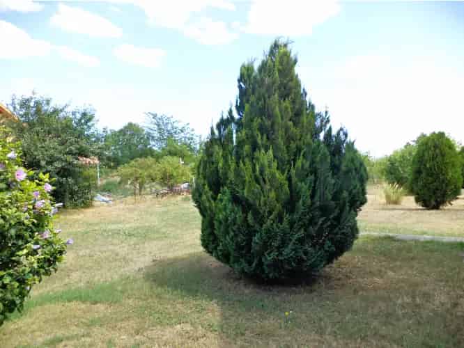 Pázmándi eladó telek, DTK070926