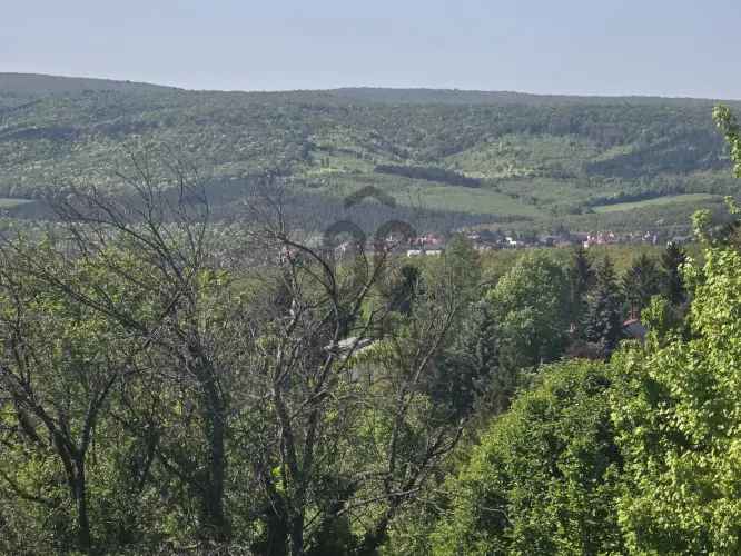 Budakeszii eladó telek, T039965
