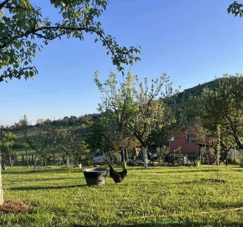 Pécselyi présház eladó panorámával 3048 m2 telken