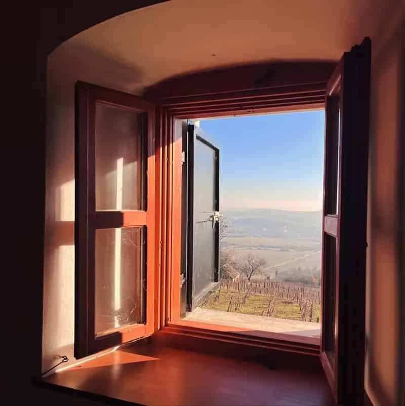 Pécselyi panorámás présház eladó - 150 m2 - 5320 m2 telek - szőlővel